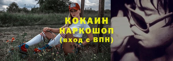 крисы Магас