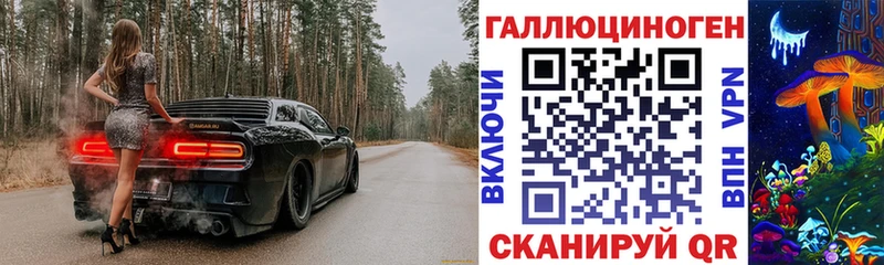 продажа наркотиков  Пудож  Галлюциногенные грибы прущие грибы 